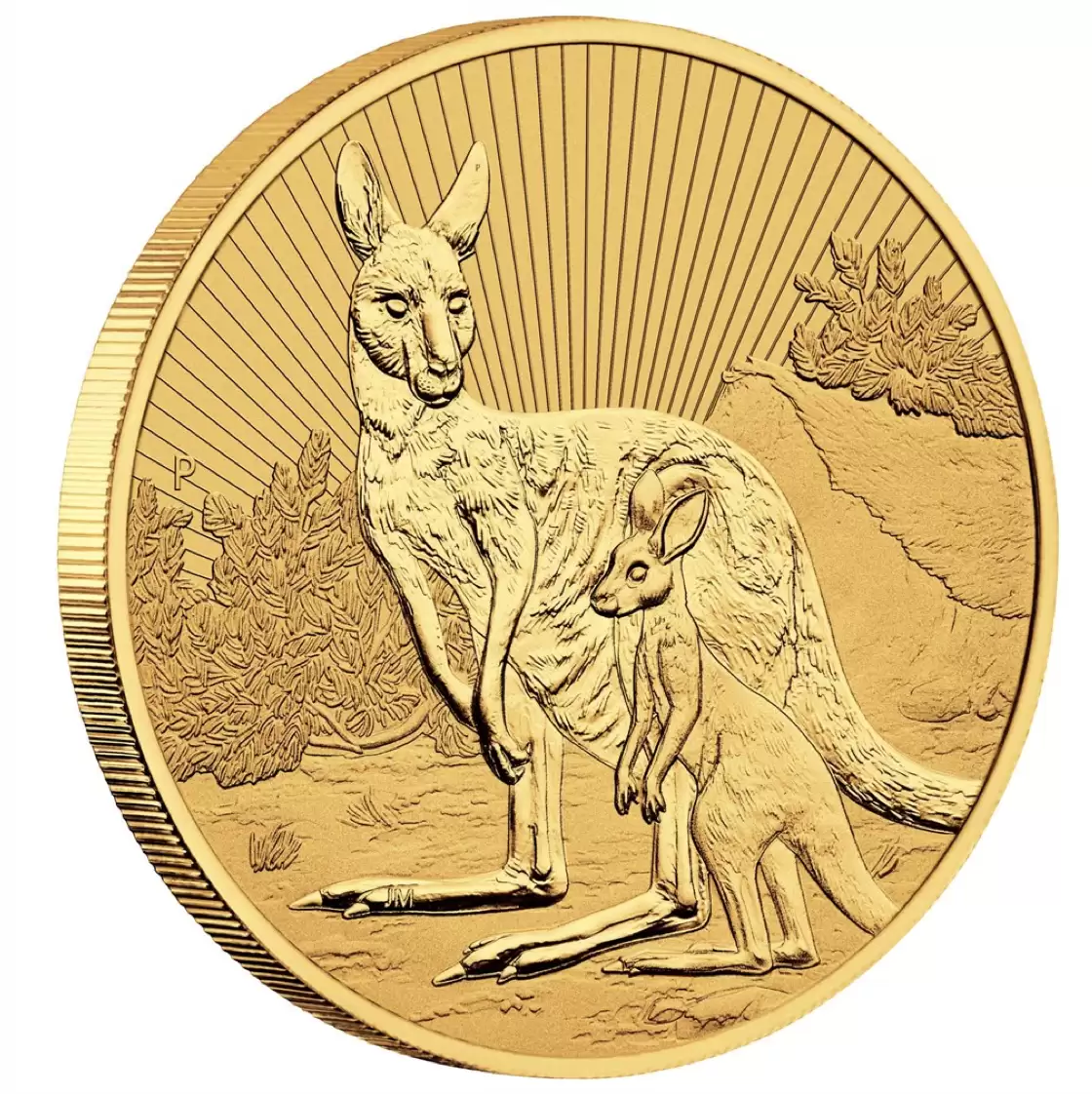 2oz Perth Mint Mother and Baby Kangaroo 2023 Gold Bullion Coin
